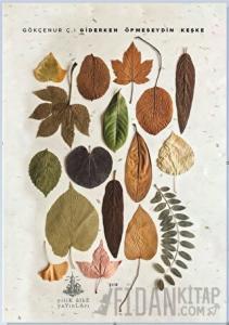 Giderken Öpmeseydin Keşke