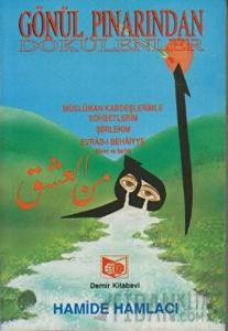 Gönül Pınarından Dökülenler