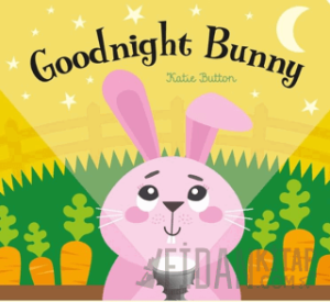 Goodnight Bunny - A Magic Torch Book (Ciltli)