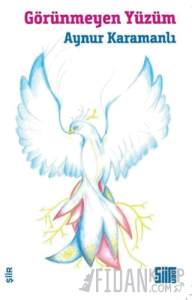 Görünmeyen Yüzüm