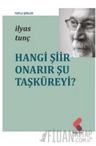 Hangi Şiir Onarır Şu Taşküreyi?