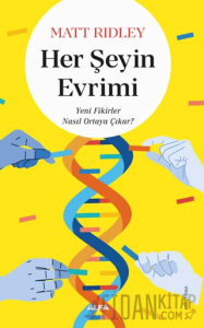 Her Şeyin Evrimi