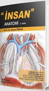 İnsan Anatomi