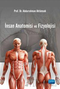 İnsan Anatomisi ve Fizyolojisi