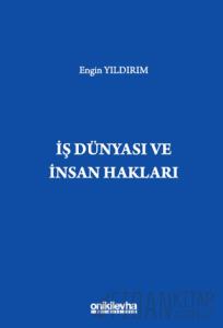 İş Dünyası ve İnsan Hakları (Ciltli)