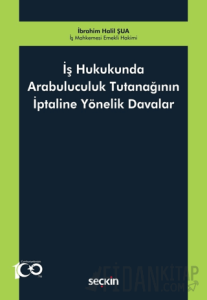 İş Hukukunda Arabuluculuk Tutanağının İptaline Yönelik Davalar