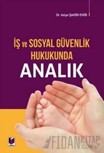 İş ve Sosyal Güvenlik Hukukunda Analık