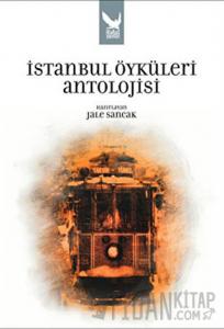 İstanbul Öyküleri Antolojisi