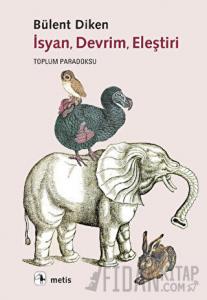 İsyan, Devrim, Eleştiri