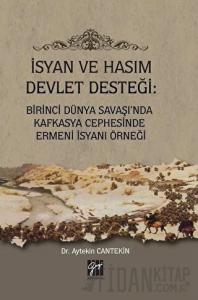 İsyan ve Hasım Devlet Desteği: Birinci Dünya Savaşı'nda Kafkasya Cephesinde Ermeni İsyanı Örneği