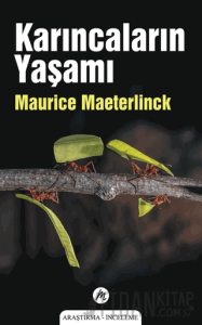 Karıncaların Yaşamı