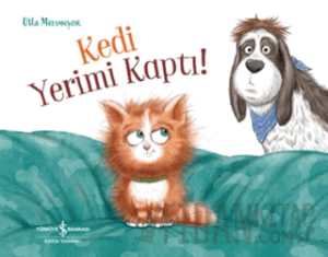 Kedi Yerimi Kaptı!