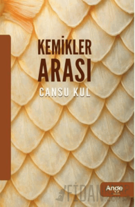 Kemikler Arası