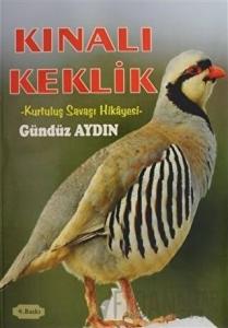 Kınalı Keklik