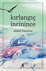 Kırlangıç İncinince