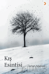 Kış Esintisi