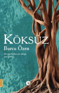 Köksüz