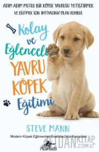 Kolay ve Eğlenceli Yavru Köpek Eğitimi