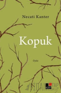 Kopuk