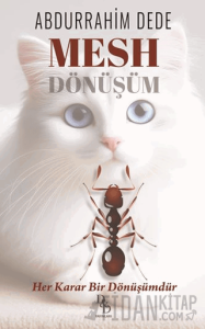 Mesh - Dönüşüm