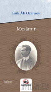 Mezamir