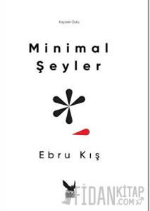Minimal Şeyler