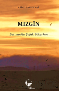 Mızgin