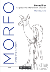 Morfo Memeliler Karşılaştırmalı Morfolojinin Unsurları