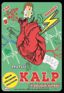 Mutlu Kalp ve Dolaşım Sistemi