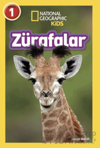 National Geographic Kids/ Zürafalar
