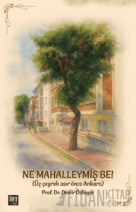 Ne Mahalleymiş Be! (Ciltli)