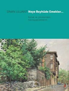 Neye Beyhude Emekler…