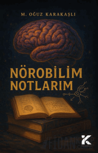 Nörobilim Notlarım