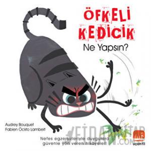 Öfkeli Kedicik