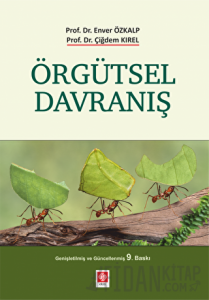 Örgütsel Davranış