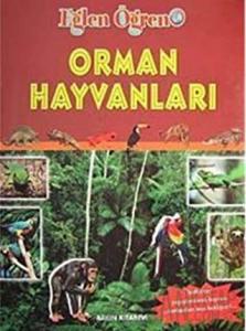 Orman Hayvanları