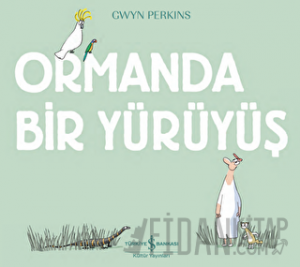Ormanda Bir Yürüyüş