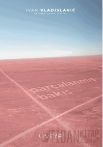 Parçalanmış Bakış