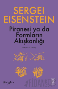 Piranesi ya da Formların Akışkanlığı