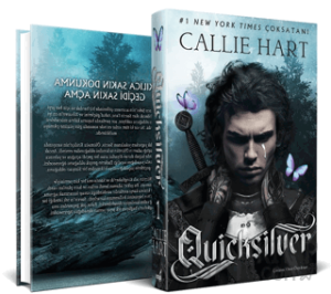 Quicksilver (Ciltli)