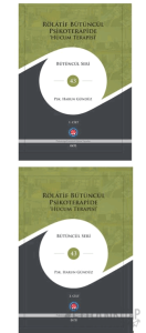 Rölatif Bütüncül Psikoterapide Hücum Terapisi (2 Cilt) (Ciltli)