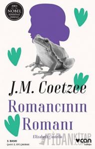 Romancının Romanı