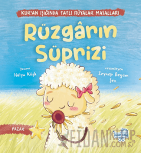 Rüzgarın Sürprizi (Ciltli)