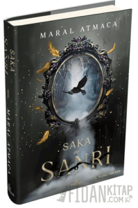 Saka ve Sanrı 1 (Ciltli)