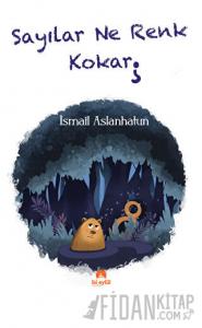 Sayılar Ne Renk Kokar