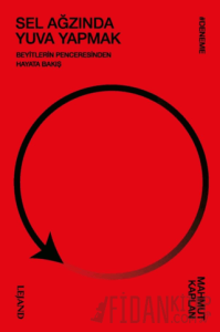 Sel Ağzında Yuva Yapmak