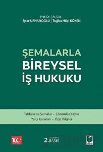 Şemalarla Bireysel İş Hukuku