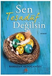 Sen Tesadüf Değilsin