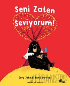 Seni Zaten Seviyorum