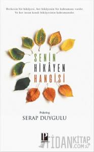 Senin Hikayen Hangisi